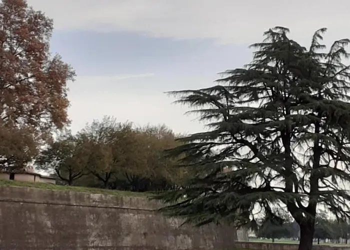 Dimora Altemura Gasthuis 4*